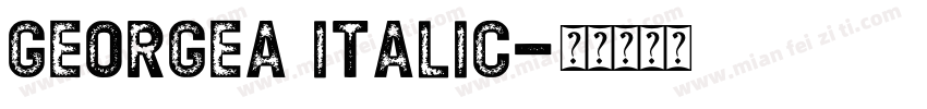 GEORGEA Italic字体转换